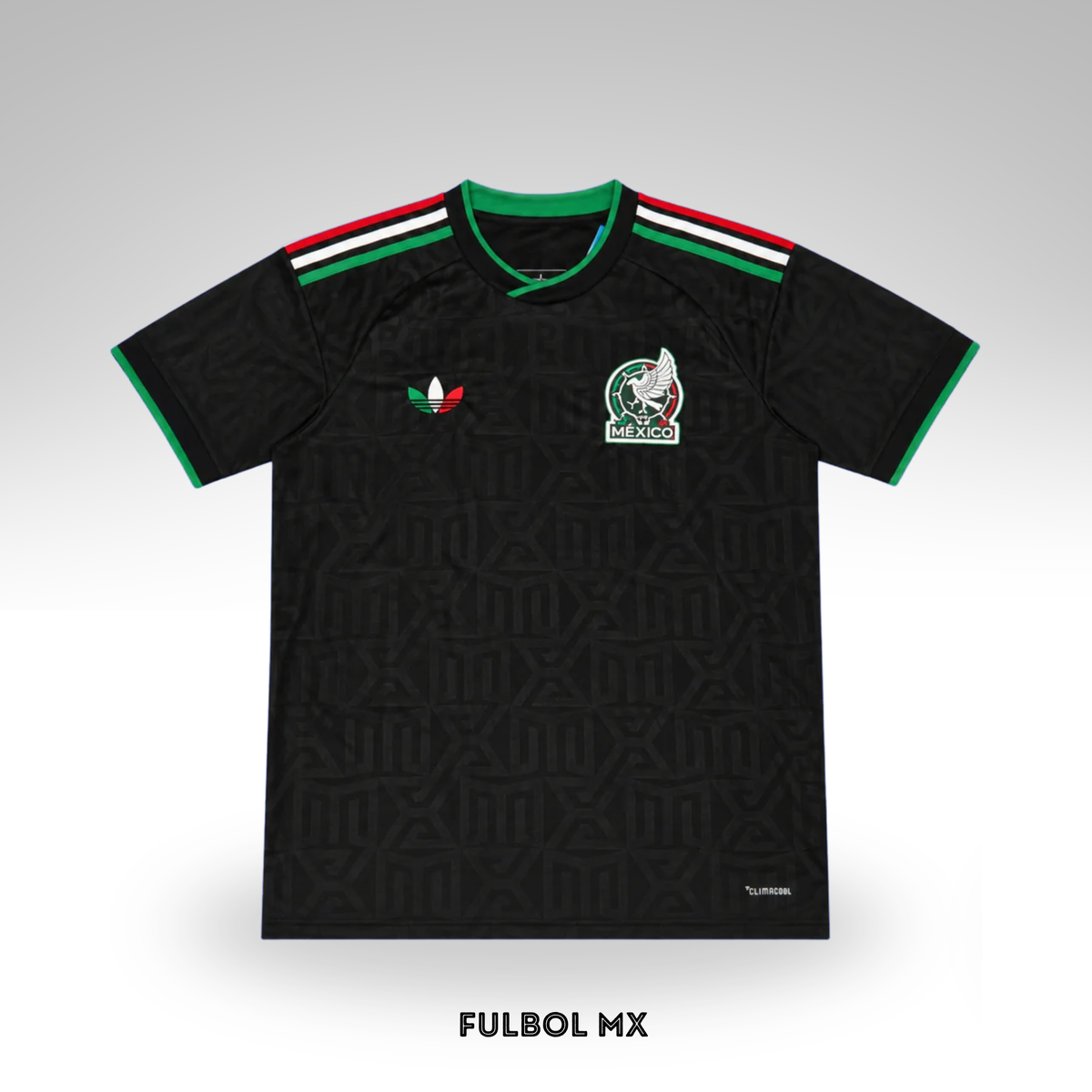 Mexico Alternativa 2026